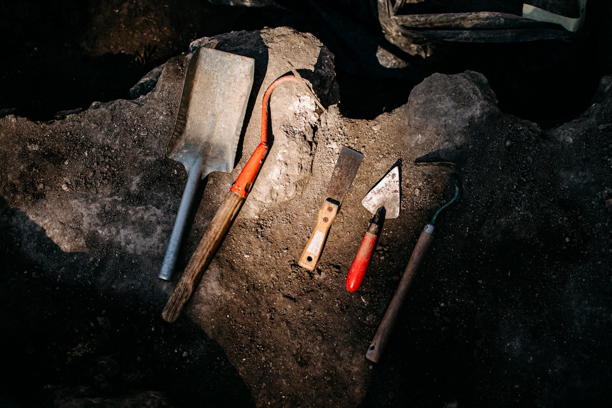 Tools are laying out on a piece of wood
