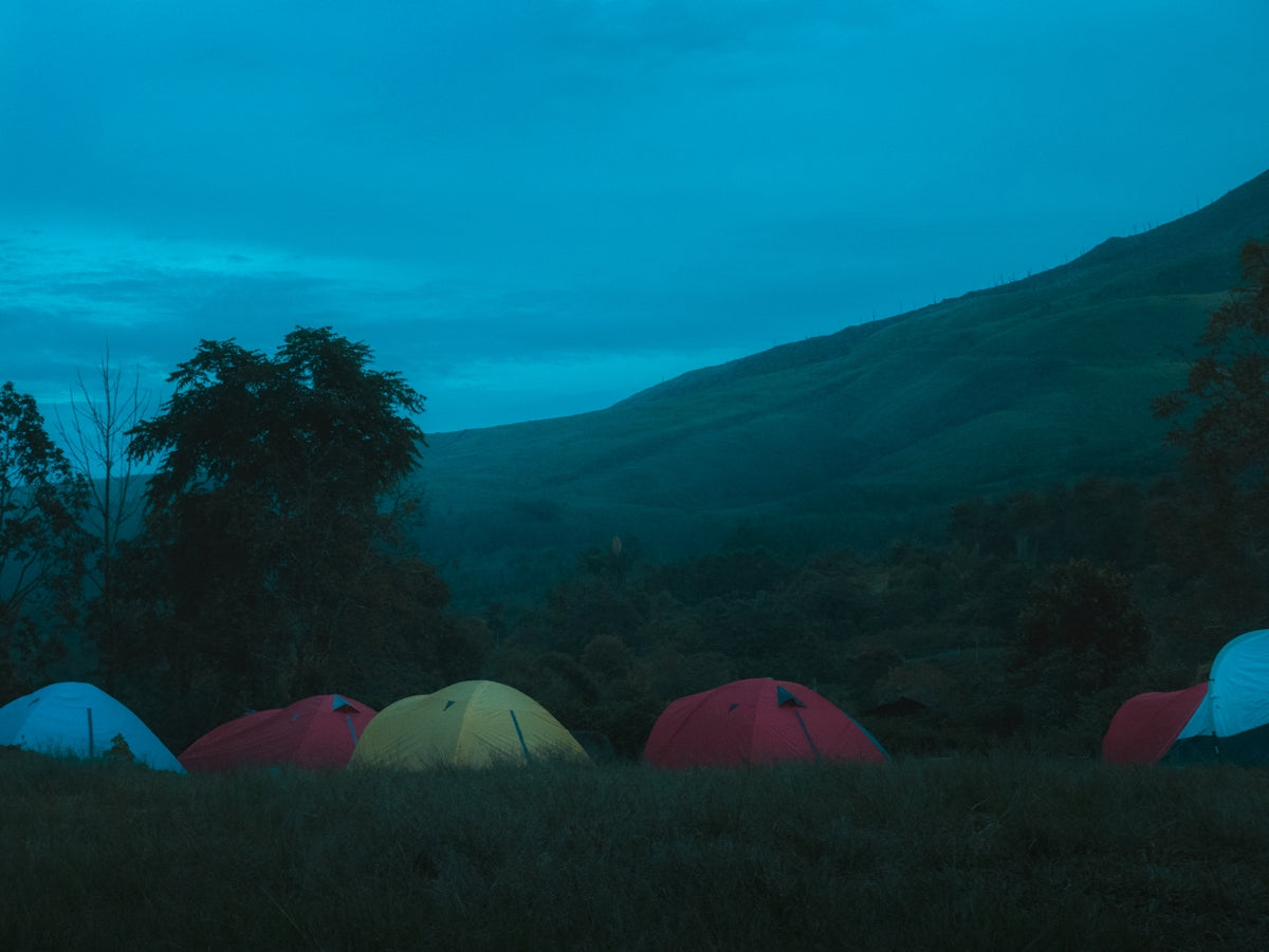 Multiple camping tents on grass with a mountain at dusk.