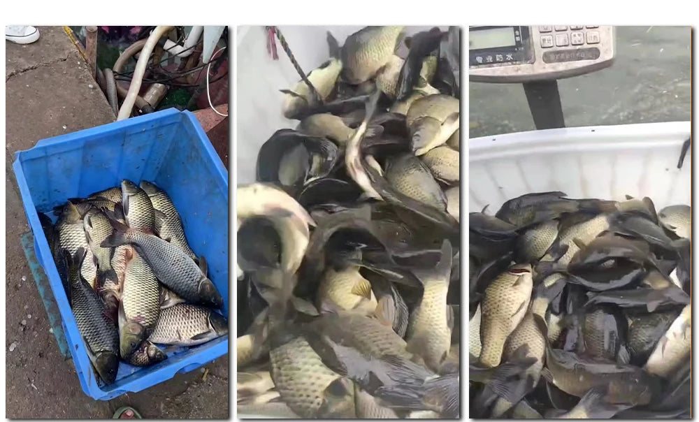 FTK Telescopic Fishing Rod & Reel Combo - 1.8/2.1m Carbon Fiber Pole with Full Kit