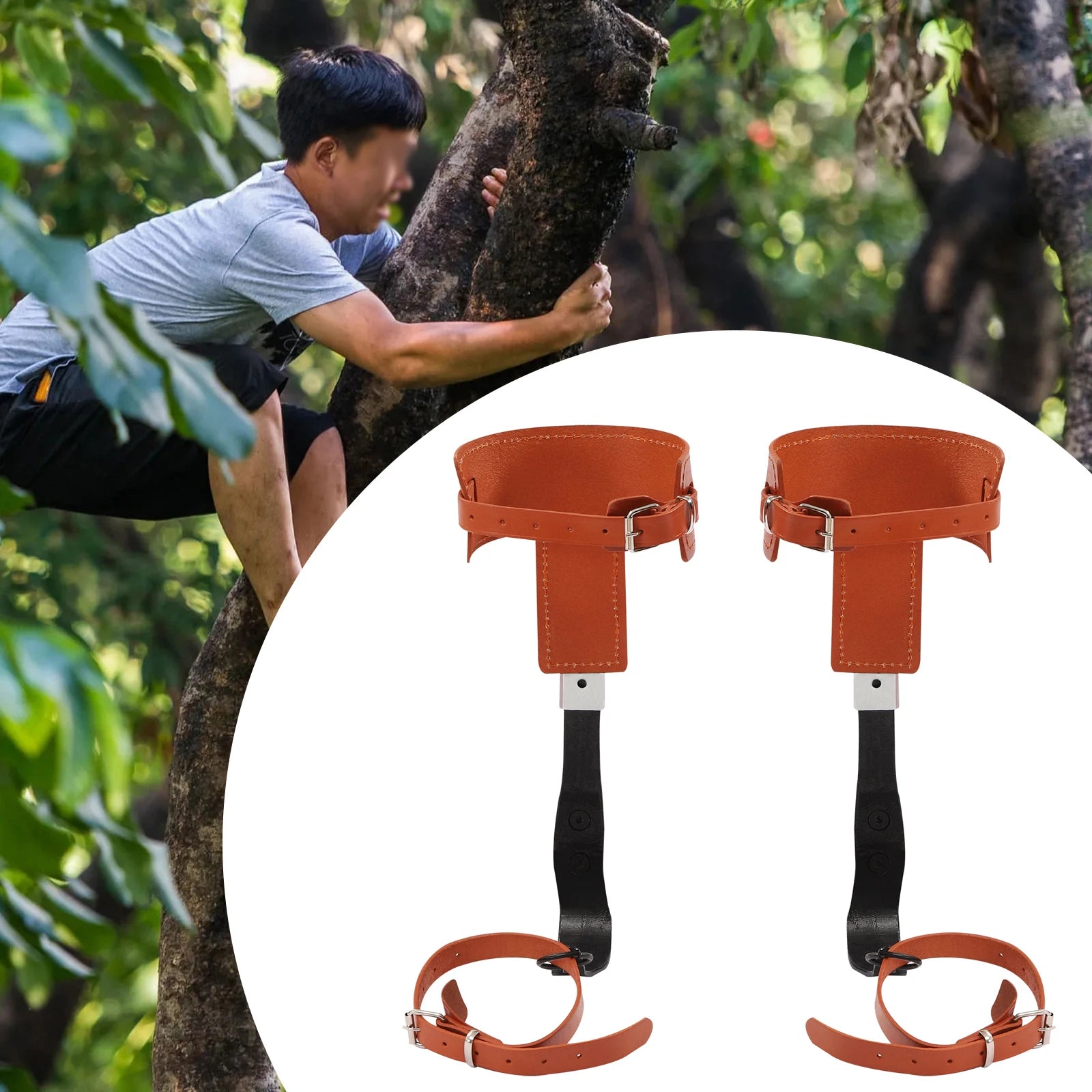 Professional Tree Climbing Gear Set - Heavy-Duty Spikes with Safety Harness & Knee Pads for Arborists (440lb Capacity)