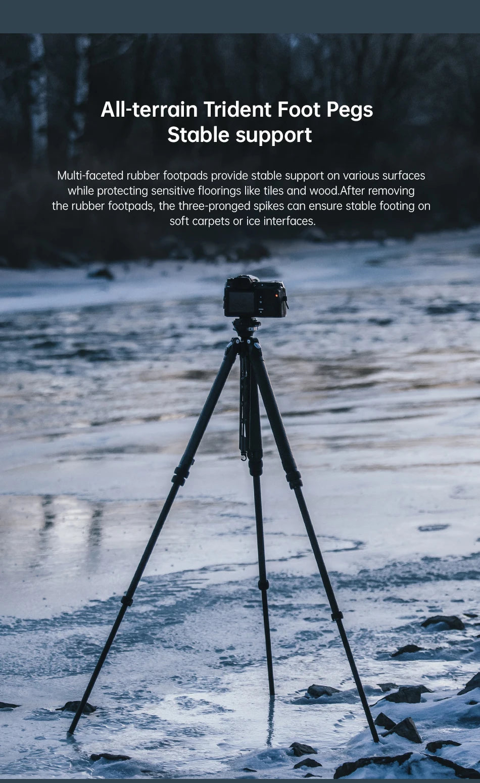 Trípode de viaje de fibra de carbono - Trípode profesional de bloqueo rápido con montura F38