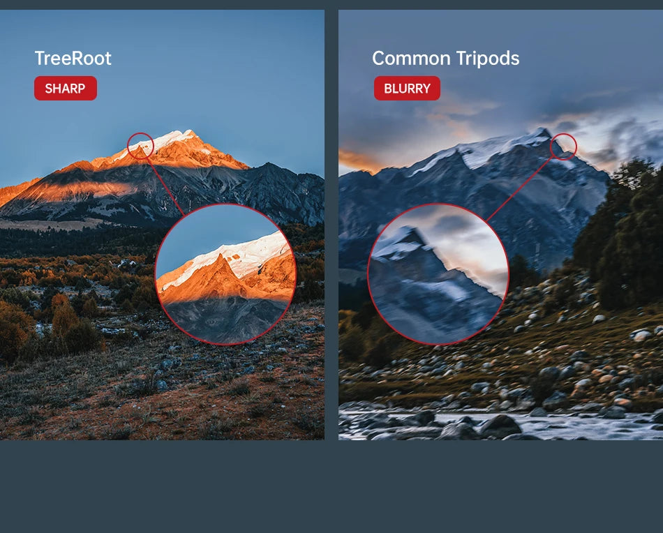 Trípode de viaje de fibra de carbono - Trípode profesional de bloqueo rápido con montura F38
