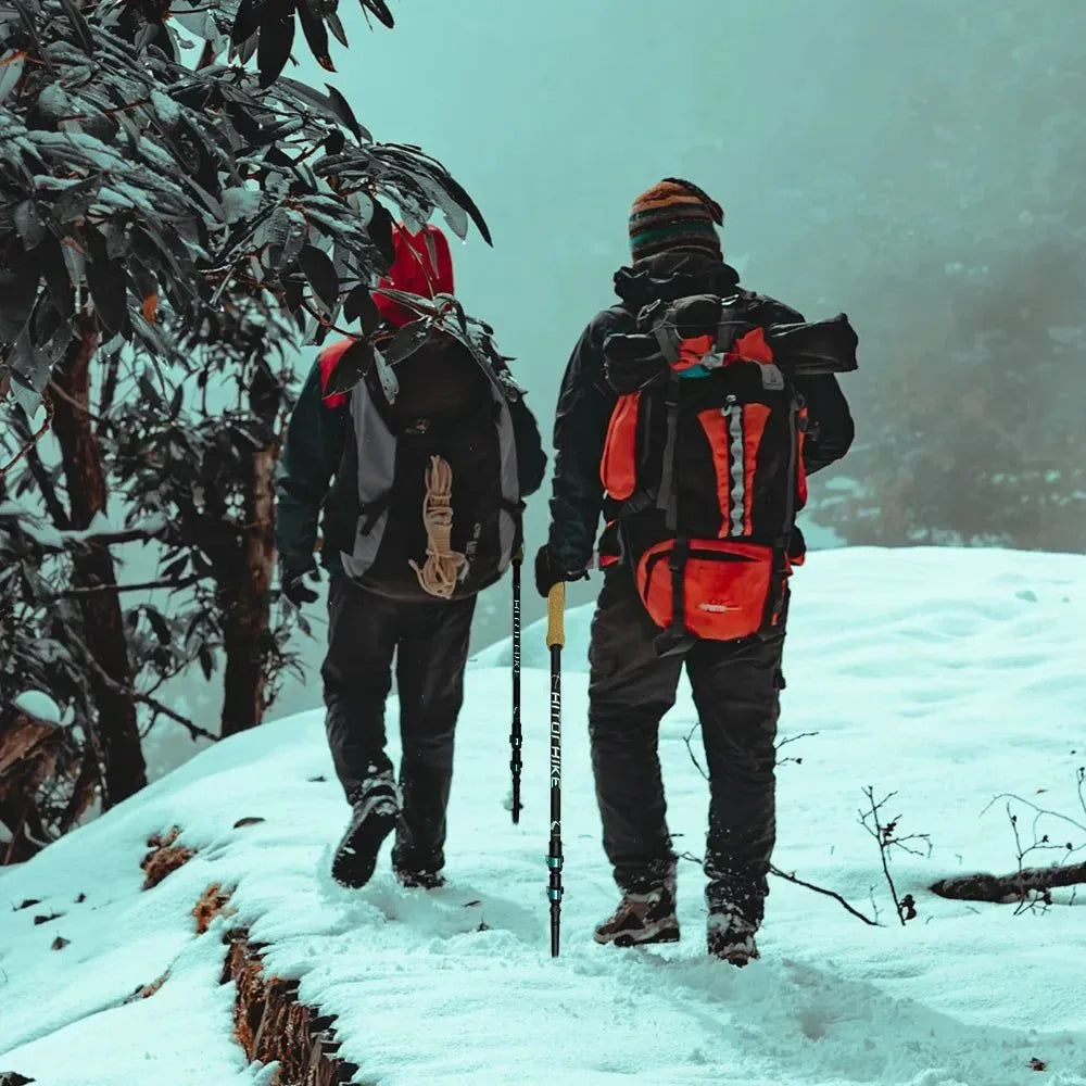 Collapsible Carbon Fiber Trekking Poles: Lightweight Telescopic Sticks for Walking, Hiking, and Climbing - Trekker Essentials
