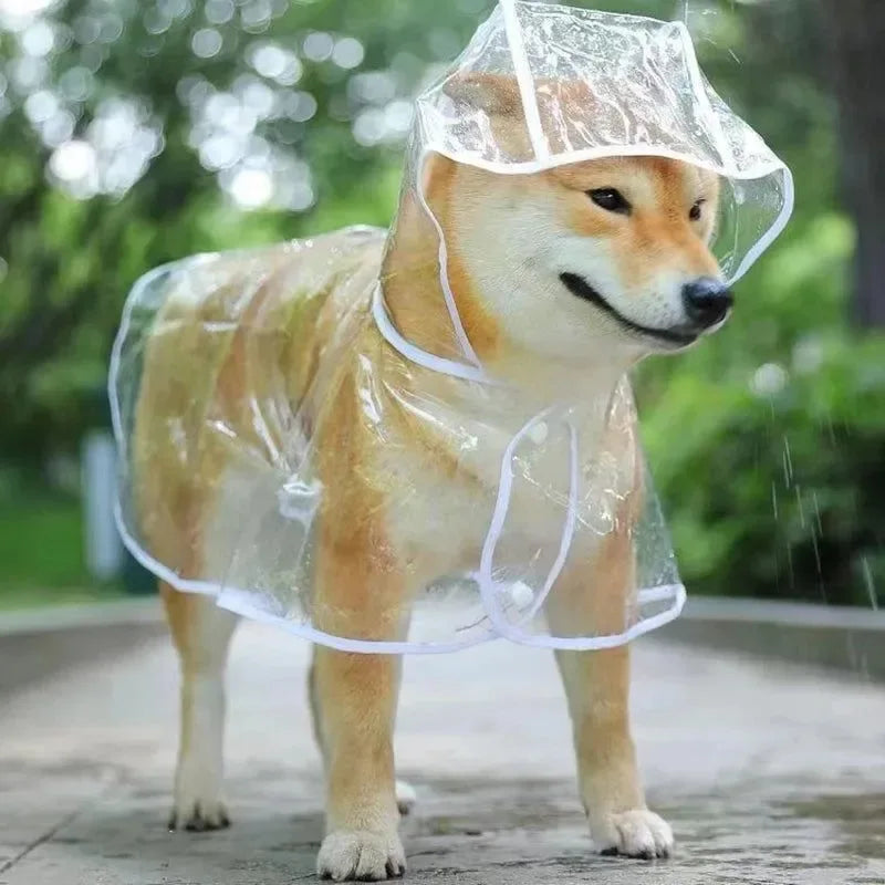 Pet Dog Transparent Raincoat - Waterproof Hooded Jacket for Small Dogs - Trekker Essentials